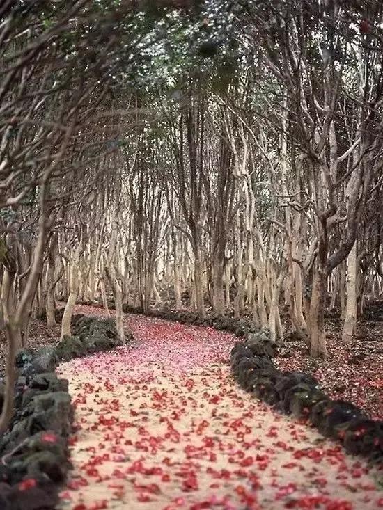 人間仙境美極了