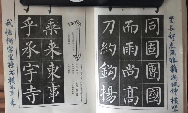 為什麼突然那麼不喜歡柳體? 為什麼突然那麼不喜歡柳體?