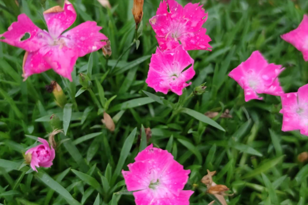 餘生，勸你別太閒
