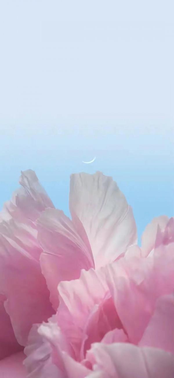 美好的東西分享給大家，特別是第十一張