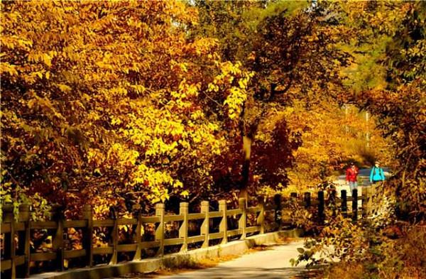 遠山溪流、古色建築、天然山貨……裡口山美得讓人心動