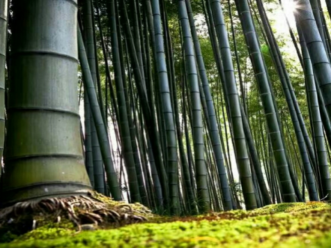 “搬不完”，—瓶不是為了賺錢的酒