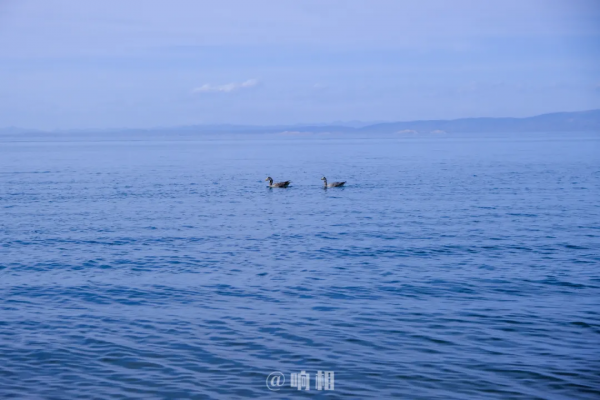 我們在夏日出發,長城炮,8天,2600公里(上) | 響相 我們在夏日出發,長城炮,8天,2600公里(上) | 響相