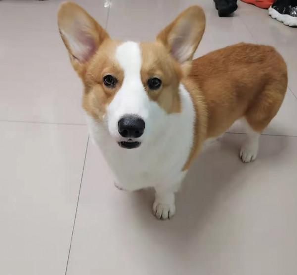 “蛋黃”的陽光生活 “蛋黃”的陽光生活