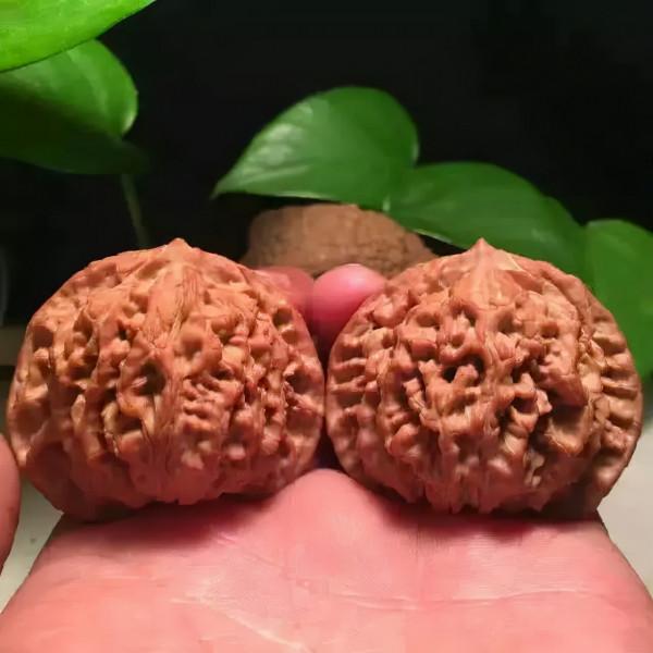 油亮如漆，盤核桃小技巧