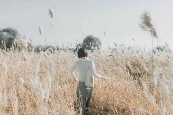 快樂有三法:捨得、放下、算了 快樂有三法:捨得、放下、算了