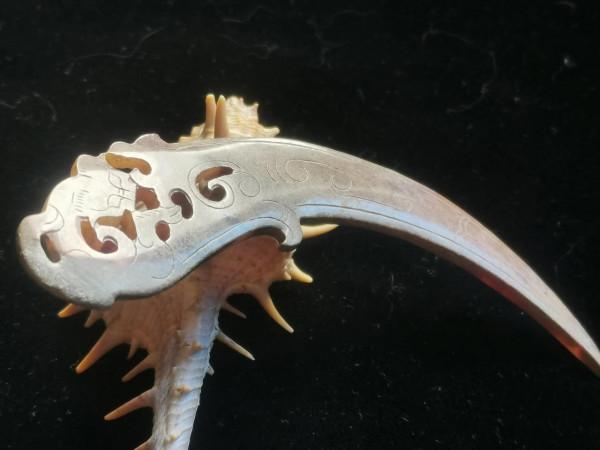 賞一日一器——西漢龍紋玉衝牙