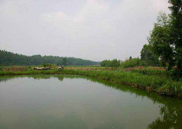 偷了我們的水？還與我們打架？還敢與我對峙公堂？是何道理？