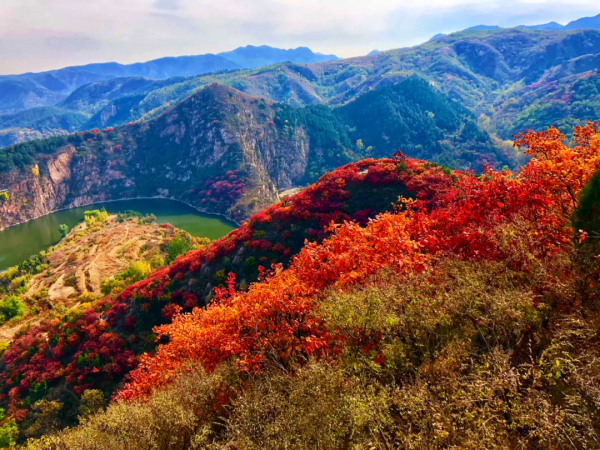 靈山秀水,漫山紅葉......一到深秋,這個被人遺忘的世外桃源又美成仙! 靈山秀水,漫山紅葉......一到深秋,這個被人遺忘的世外桃源又美成仙!