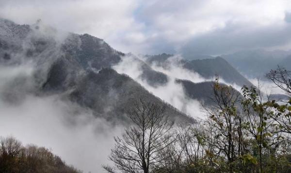 眼鏡王蛇被竹葉青蛇咬了一口,會不會死? 眼鏡王蛇被竹葉青蛇咬了一口,會不會死?