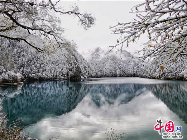 九寨溝金秋最美時 燻醉遊人不知歸 九寨溝金秋最美時 燻醉遊人不知歸