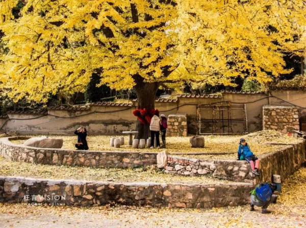 北京周邊這十條自駕路線，一年四季都可以去