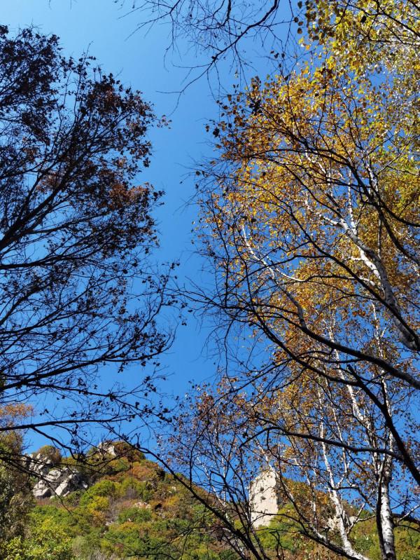 喇叭溝門——秋季賞楓賞白樺 喇叭溝門——秋季賞楓賞白樺