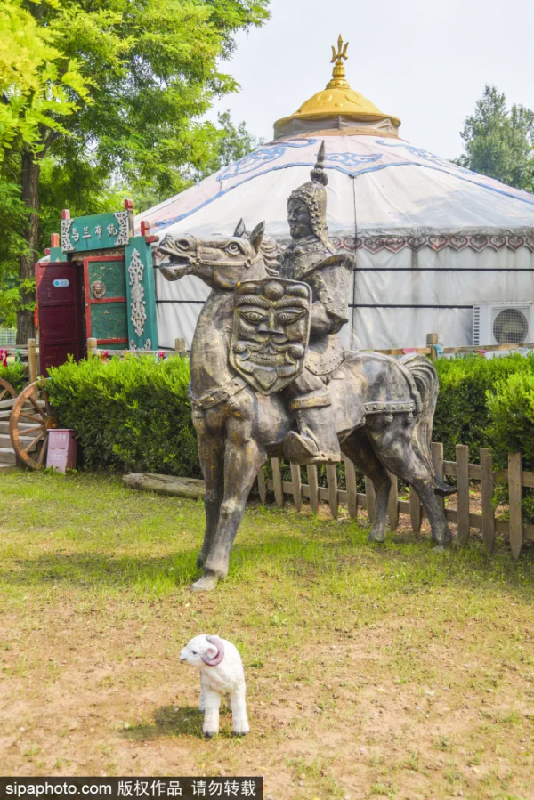 免門票！森林公園裡藏著個“小內蒙古”，還免費停車~