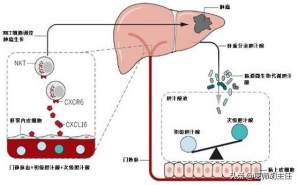 倍他樂克，餐前吃好，還是餐後吃好？醫生說：注意2個問題