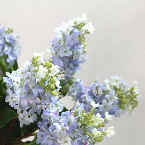 分享圖片，唯美浪漫丁香花