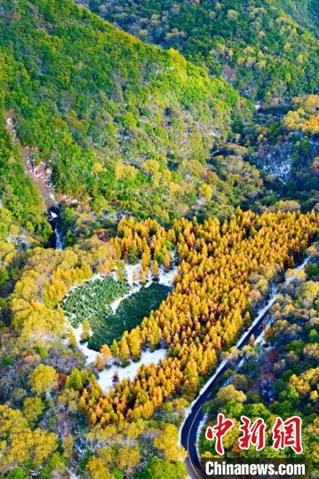 張張桌布！快來下載屬於你的秋雪六盤山美景