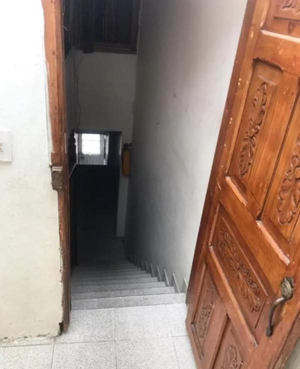 一隻貓擊退3只野狼,只為保護主人 一隻貓擊退3只野狼,只為保護主人