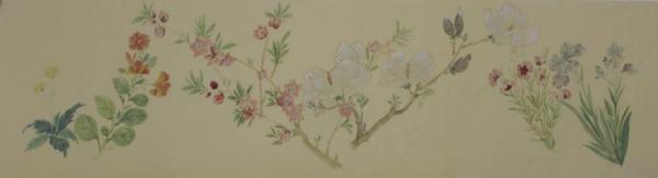 蘇珊 •《百花圖卷》 蘇珊 •《百花圖卷》