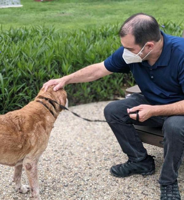 老狗與主人10年後重逢，它一眼就認出“爸爸”，眼裡含滿了淚水