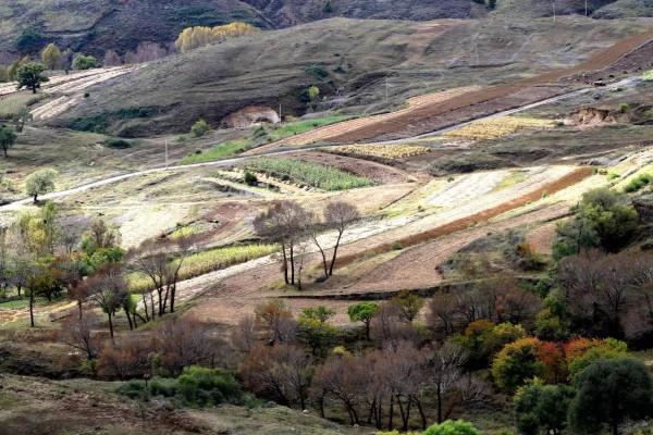 國慶假期穿越草原天路