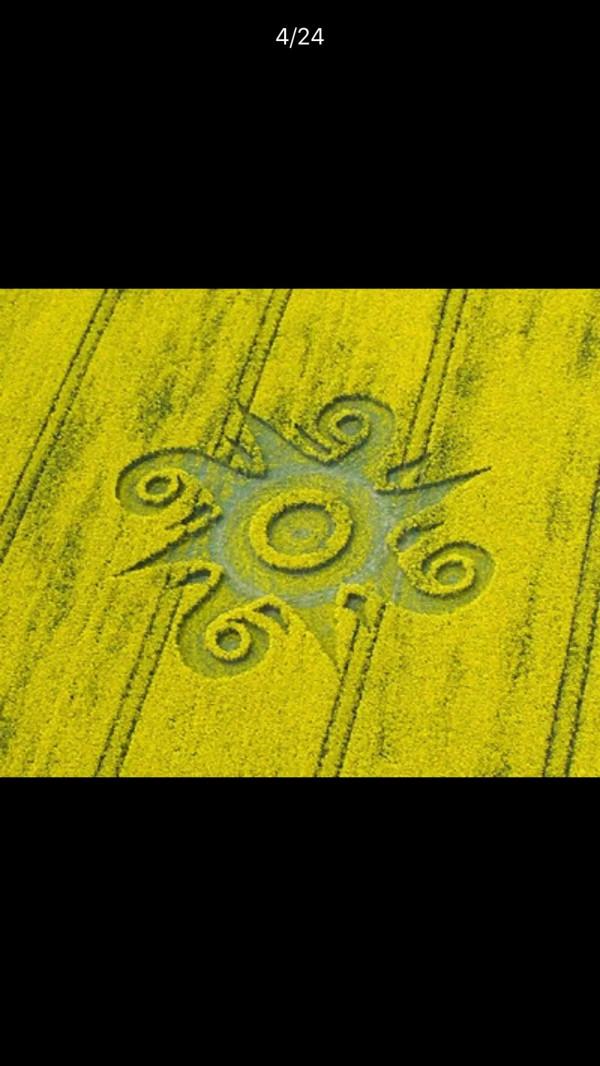 中國還沒有麥田怪圈