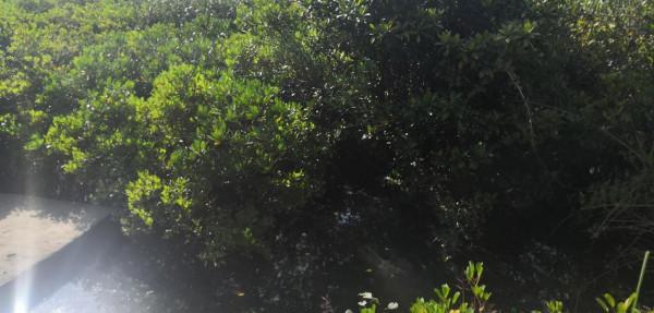 秋萍退休後一人一車自駕遊89天,頑強的生命力 秋萍退休後一人一車自駕遊89天,頑強的生命力