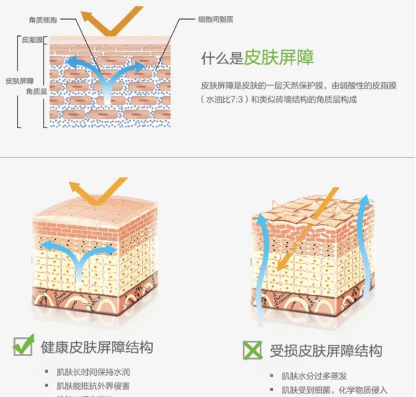 面板容易幹癢、泛紅，多半是被燥邪所傷，中醫教你4個方法