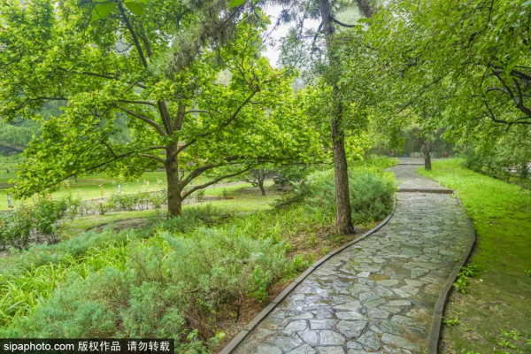 驚豔!這個“太陽神”公園竟藏著江南庭院,古色古香還免費! 驚豔!這個“太陽神”公園竟藏著江南庭院,古色古香還免費!