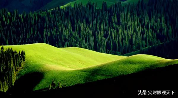 新疆有個地方叫昌吉 新疆有個地方叫昌吉