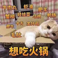 火鍋趁熱吃？小心被放倒！