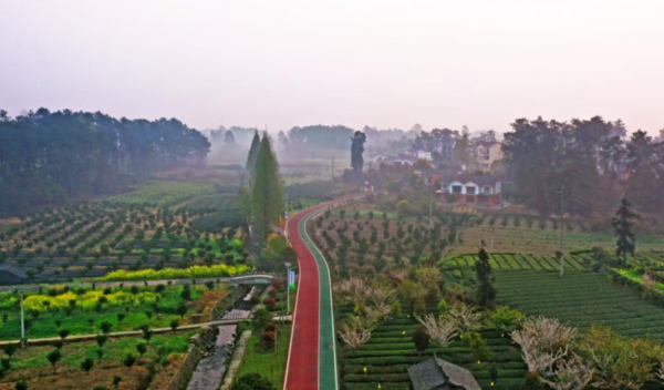 四川一個小縣城，被稱為“天然氧吧”，人口不到26萬，生活很幸福