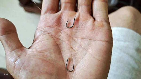 這是最成功的入侵魚類,在國內繁衍數十年,居然沒幾個人知道 這是最成功的入侵魚類,在國內繁衍數十年,居然沒幾個人知道