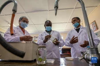 走進中肯作物分子生物學聯合實驗室「圖」