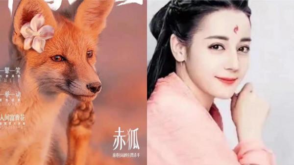 明星們的動物塑,李榮浩簡直神還原 明星們的動物塑,李榮浩簡直神還原