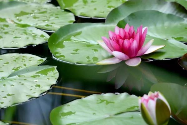 翔海集團:四季美景醉人心!龍口這個地方,一年四季都這麼美 翔海集團:四季美景醉人心!龍口這個地方,一年四季都這麼美