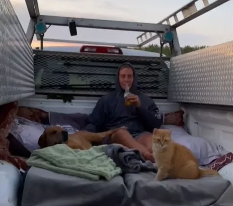 夫婦買了一間舊農舍，發現裡面有15只貓