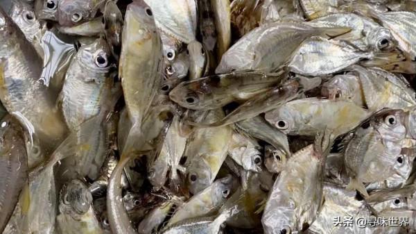 買魚時，內行人專買這9種純海魚，難以人工養殖，看完長知識