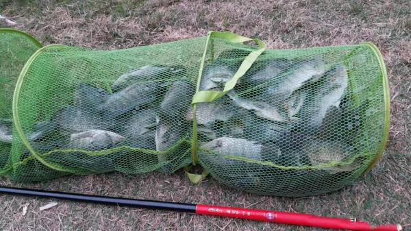 適合新手使用魚竿盤點，好用價效比高，20斤無壓力