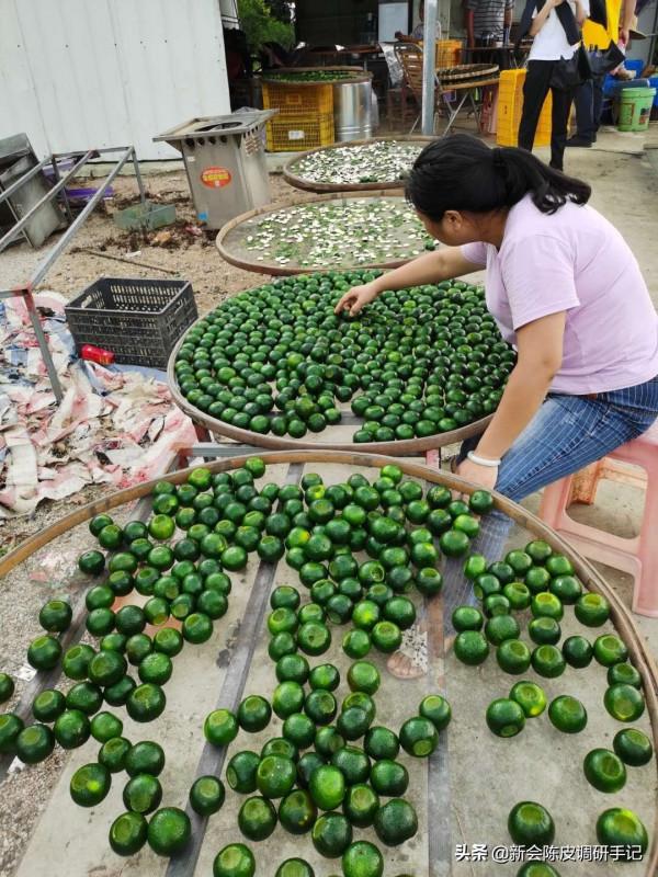 “耕地紅線”下的新會陳皮,是否需設立新會柑“保育區”? “耕地紅線”下的新會陳皮,是否需設立新會柑“保育區”?