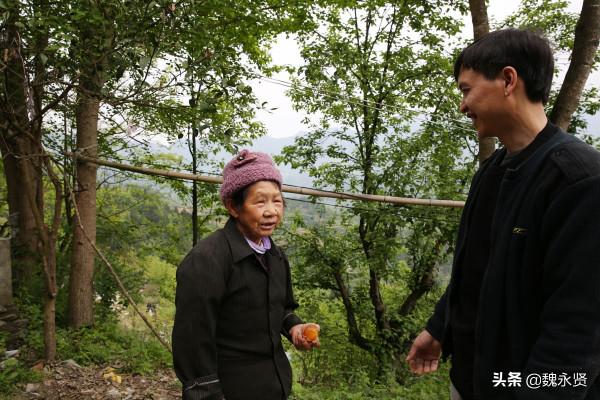 陝西70後男子在大山裡養雞做變蛋，一干就是十年，收入挺可觀