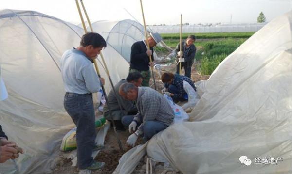 十大考古發現 | 商鞅變法的改革之都：秦漢櫟陽城遺址漸露真容