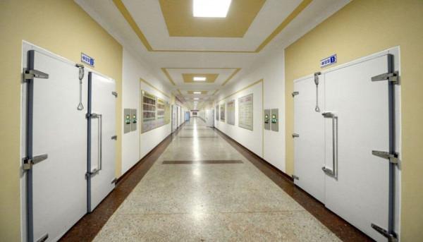 朝鮮：“蘑菇之國”