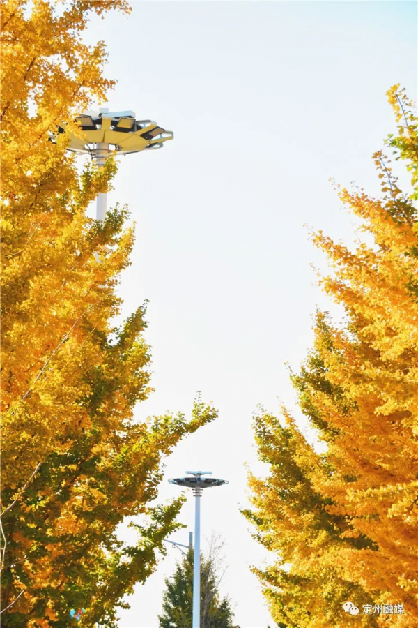 這樣的定州,也太美了吧 這樣的定州,也太美了吧