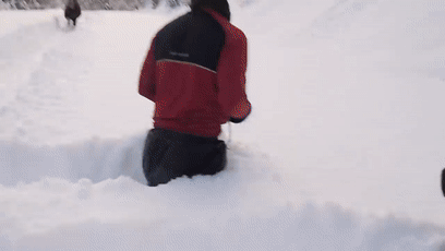 手掌大的飛蛾、比汽車高的鹿，這些東西比你想象的要大很多