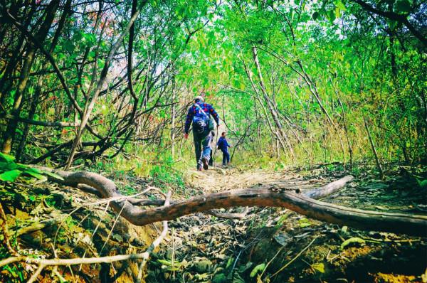 北京有一條“野香山”徒步線路，不僅有絕美紅葉，還藏著香山水庫