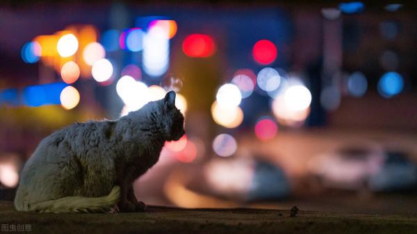 撿來的哥少年老成,妹卻因哥與父母住在一起而選擇與丈夫離婚 撿來的哥少年老成,妹卻因哥與父母住在一起而選擇與丈夫離婚