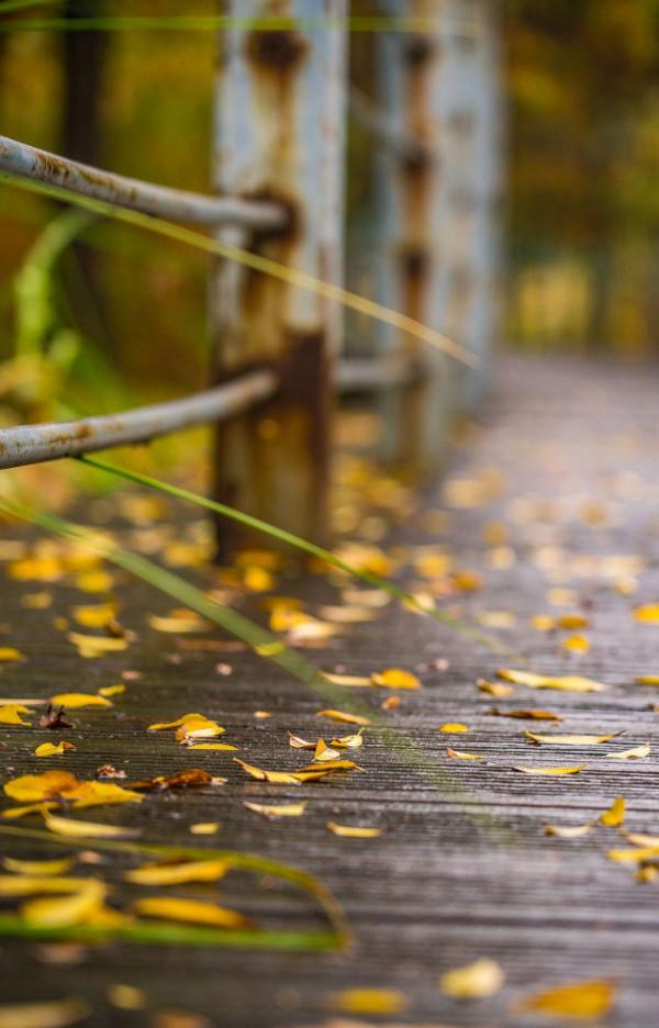 散文:懂得成全和更新自己,才是人生的庇護 散文:懂得成全和更新自己,才是人生的庇護