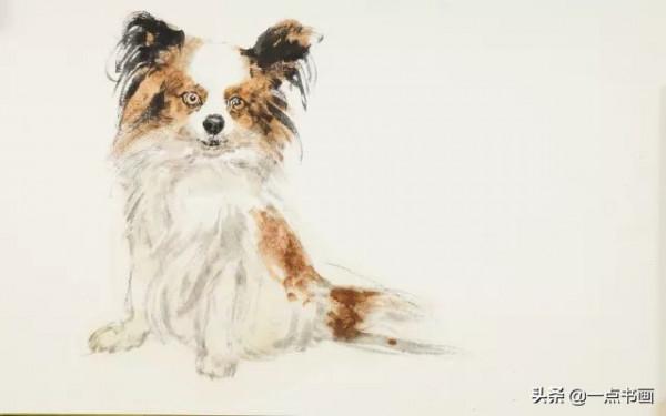 名家教你畫萌寵狗狗