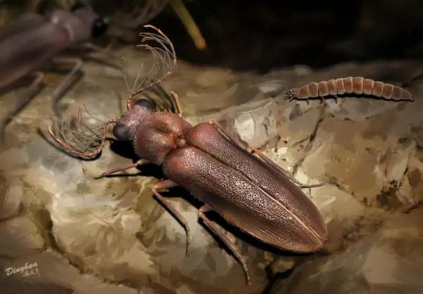 如何給古生物畫上正確的顏色 如何給古生物畫上正確的顏色